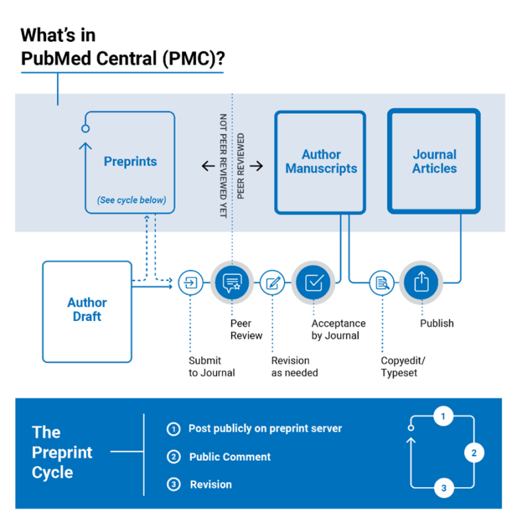 An infographic titled, What's in PubMed Central (PMC)? Types of literature is displayed in the first line: Preprints, Author Manuscripts, Journal Articles. The publication process is laid out in the second line: Author Draft, Submit to Journal, Peer Review, Revision as needed, Acceptance by Journal, Copyedit/Typeset, Publish. Arrows are drawn from the types of literature from the top line down to where they exist in the publication process. The bottom of the infographic lists the Preprint Cycle 1. Post publicly on preprint server 2. Public comment 3. Revision