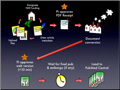 PubMed Central Process (1)