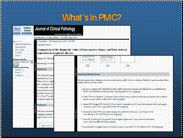 What's in PMC?