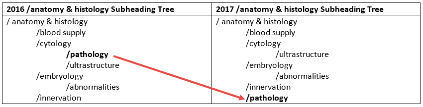 screenshot of anatomy and histology subheading tree from 2016 to 2017