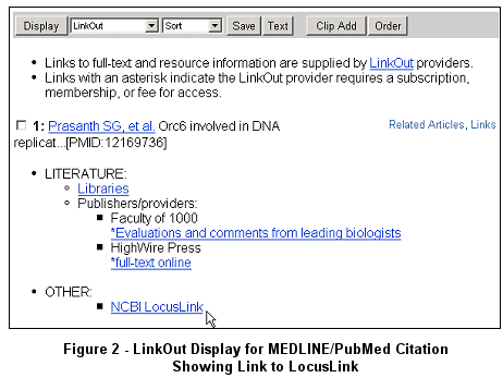 LinkOut Display for MEDLINE/PubMed Citation Showing Link to LocusLink