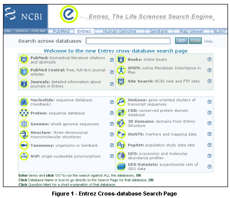 Figure 1: Entrez Cross-database Search Page