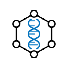 two DNA helix models