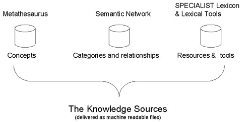 UMLS database image